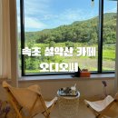[올리맛집/속초] 속초 카페 추천｜설악산 뷰 보며 힐링하기 좋은 오디오씨 후기