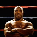 타이슨짐 이미지