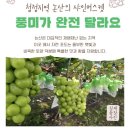 진아농장 이미지