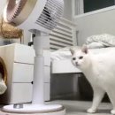 천앤디씨