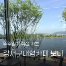 가락대로가락동 | 부산 강서구 디저트 카페 추천 카페 보다 애견동반, 강뷰