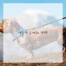 시간관리효율화 이미지