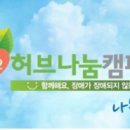 나눔허브 이미지