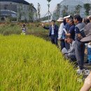 신안군농업기술센터 이미지