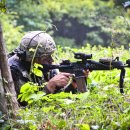 인제천연잔디구장 이미지