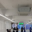 파라에스트라전하