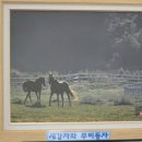 동자목장 이미지