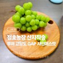 대지농장 | [식품/샤인머스켓] 정호농장 부여 고당도 GAP 샤인머스켓 2kg 솔직 후기