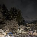 꽃무리 뜸 이미지