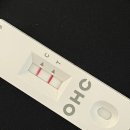신월리경로당 | 나의 운전 면허 취득기
