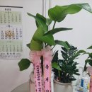 전우공인중개사사무소 네이버블로그