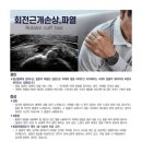 풀잎한의원 이미지