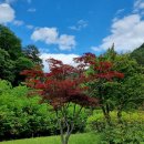 공작산생태숲 이미지