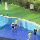 캠핑트리펜션 이미지