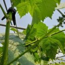 화수농장 이미지