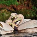 광주스마일행정사사무소 이미지