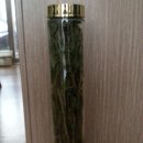 선학초등학교 이미지