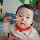 청년피자김해장유점 이미지