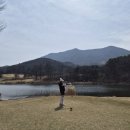 블루원CC (대중제) 이미지