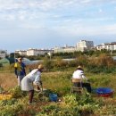 들길농장1 이미지