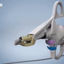 올림픽동물의료센터 이미지