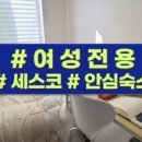 스테이 선선
