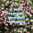 (주)파란다음