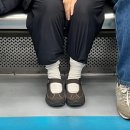 다온.댕 이미지