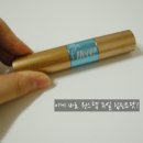 미섬 | [아리따움] 원스텝 듀얼 립 틴트 by.미섬미섬의 뷰티섬 이야기