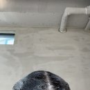 운정 미용실 추천 그레이큐브에서 완성한 애쉬브라운 염색 후기 💙