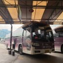 월변마트 | 수영하고 멍때리기 좋은 울진 왕피천 모래언덕 캠핑장 뚜벅이의 솔캠 1박 2일 총 정리