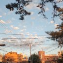 진해공설운동장 축구장 이미지