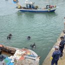 대한민국특수임무유공자회 이미지