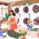 백선세탁 이미지