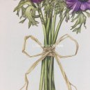 보태니컬아트 이미지