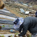 샘양지 마을 이미지