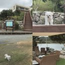 골드마운틴 하우스 | 진도 가족 펜션 애견동반 가능한 골드마운틴하우스