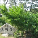 효지미 Daum카페