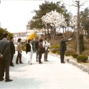 흥도초교 이미지