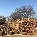 소나무불한증막 이미지