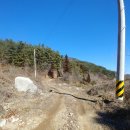 모후품안 이미지