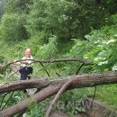 태백경찰서 소도파출소 이미지