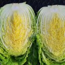 소연농장 이미지