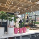 수창공원 건너 이미지