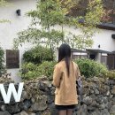 스테이인터뷰영동 | 스테이인터뷰 영동 ㄷ 히노끼탕 자쿠지 객실 1박 솔직 후기