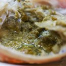 구룡포대게 이미지