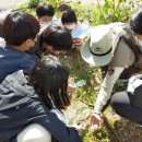 화개초등학교왕성분교장 이미지