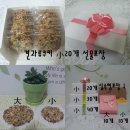 미다리본
