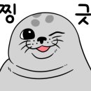 뛰댕이 애견 실내 놀이터 네이버블로그