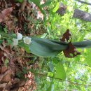 낭성산성 이미지